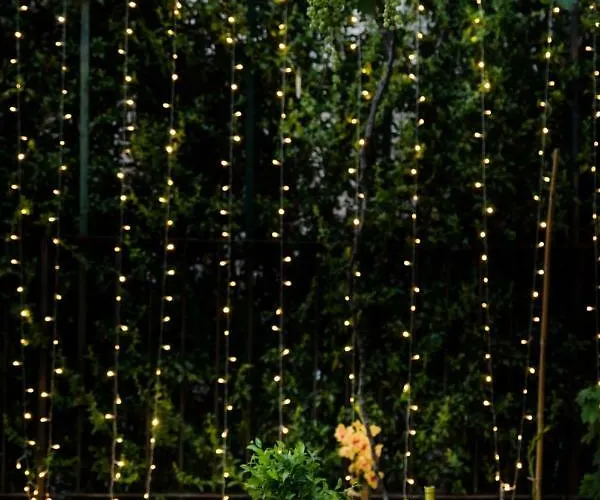 Daire Lavistadeisogni Filippone *